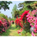 죽산근린공원 이미지