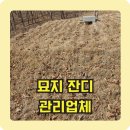 도창리 | 산소 잔디 관리 묘지 주변나무 벌목