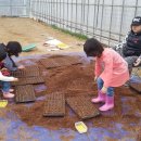 디제이팜 이미지