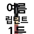 샤넬 르 류쥬 듀오 192 코랄 핑크 후기 / 지속력 좋은 코랄립 추천