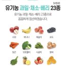 걸스투맘 이미지