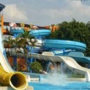 서호유치원 이미지