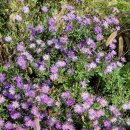 지리산 순심이네 캠핑 민박 이미지