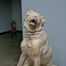 우리켄넬 이미지