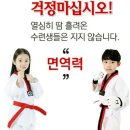키즈펀태권도 이미지