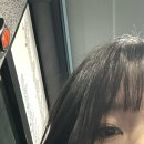 (주)고분도리 총각네 | 25년 12월 일상 1