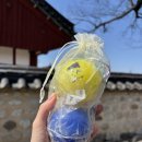 고대1095 | 경주 여행 필수 코스 🗺️ 한국가체연구소 &amp; 무궁미가 방문기 (고급스러운 경주 소품샵 추천)