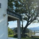 소소한가 이미지