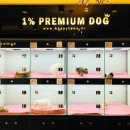 해피애견타운(Happy Pet Town) 이미지