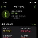 크로스핏 레오 이미지