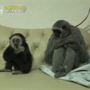 금희농장 이미지