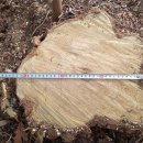 은평-035 이미지