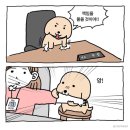 [2024.06.01-16] 일기
