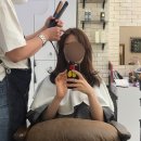 더스타일링헤어(The styling hair)