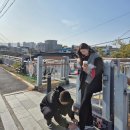 행복한 운동화 이미지