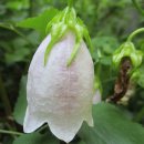 선문대학교 글로컬통합대학원 이미지