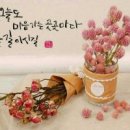 당구클럽 이미지