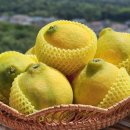 늘푸르름농장 이미지