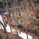 힐리언스 이미지