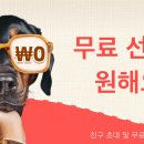 테무 초대 도와줄 비청이.. 이미지