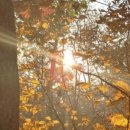 신송약수터 이미지