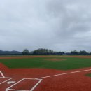 아지동 야구장 이미지