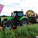 코스모스농원 이미지