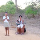 바오밥나무기타 이미지