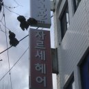 자르세헤어 이미지