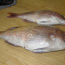 영일민박 이미지