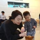 마오네애견카페 이미지