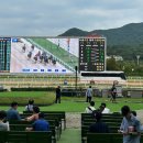 CU과천공원점 | 과천 경마공원역 경마장 I 렛츠런파크 경마장 초보 1만원 배팅 찐후기 (주차, 입장료, 이용방법)