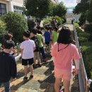 병영초등학교 이미지