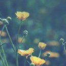 청룡동-36 이미지