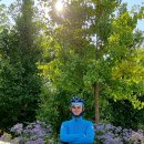 풍년가든 이미지