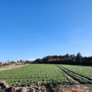 수산리농장 이미지