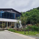 502 이미지