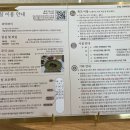 안목있는춘향C | 강릉 숙소 추천 | 안목해변 감성 숙소 ‘스테이 안목을담다’ 후기 | 내돈내산