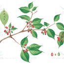 (주)강원 이미지