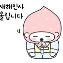 마시젤라아이스크림
