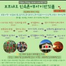 별빛사냥 | 코타키나발루 뚜아이 반딧불 선셋투어 맹그로브숲 원숭이, 예약 할인 꿀팁 후기