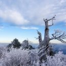 밸런스본의원 이미지