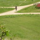 🔔 4시간 30분이 걸린 마라톤 이미지