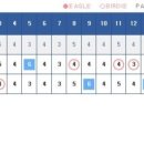 빅스크린 골프 이미지