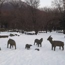 제주윈터페스티벌