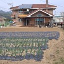 논산시 벌곡면 한삼천리 전원주택 매매(대842㎡, 매 4억) 이미지