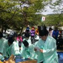 심마니 산약초 이미지