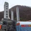 상춘농장 Daum카페