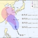 (주)피토