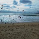 고양이 세수_설렘 이미지